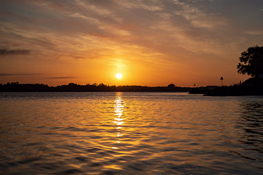 09-06-2019 Rondje Biesbosch met Gerard Kanters